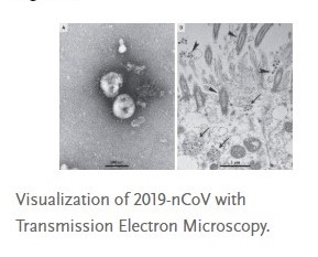 Microscope Covid
