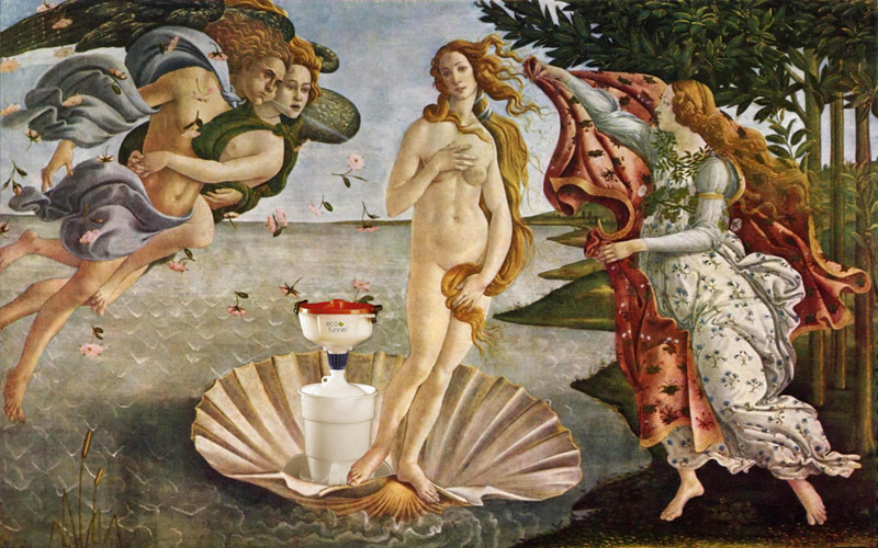 ECO Funnel and the Birth of Venus, Botticelli