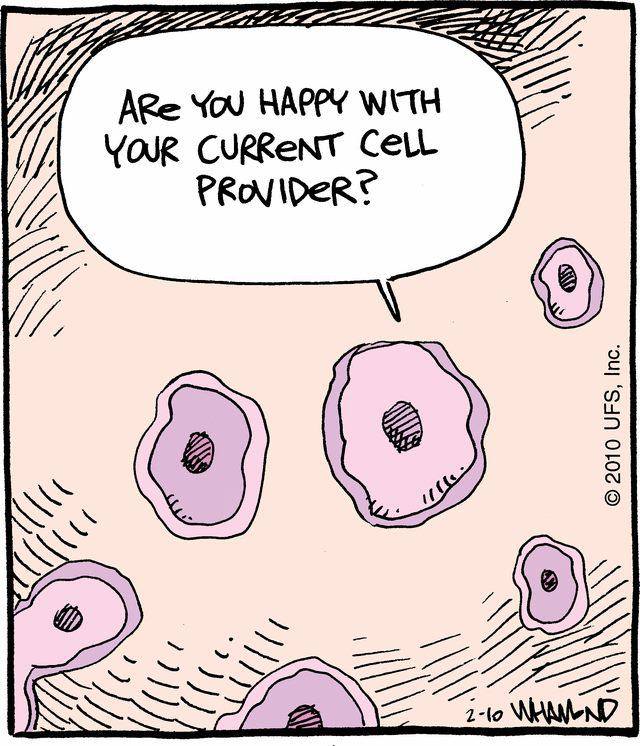 cell-provider.jpg cell-provider.jpg