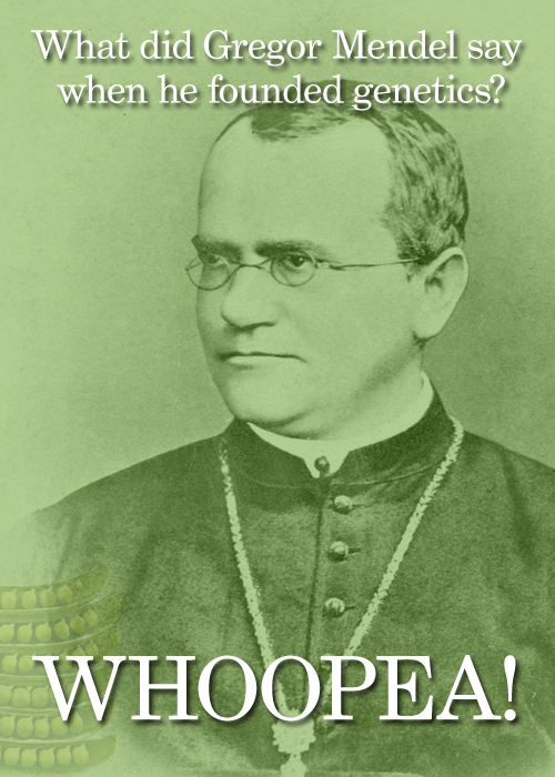 gregor-mendel.jpg gregor-mendel.jpg