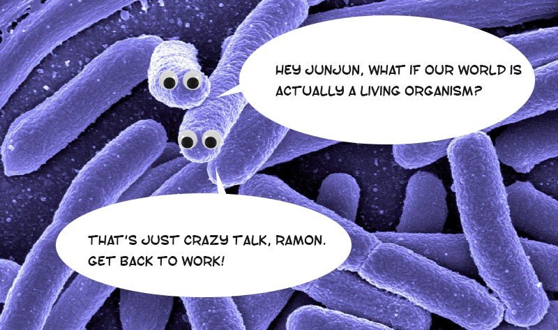 microbes.jpg microbes.jpg