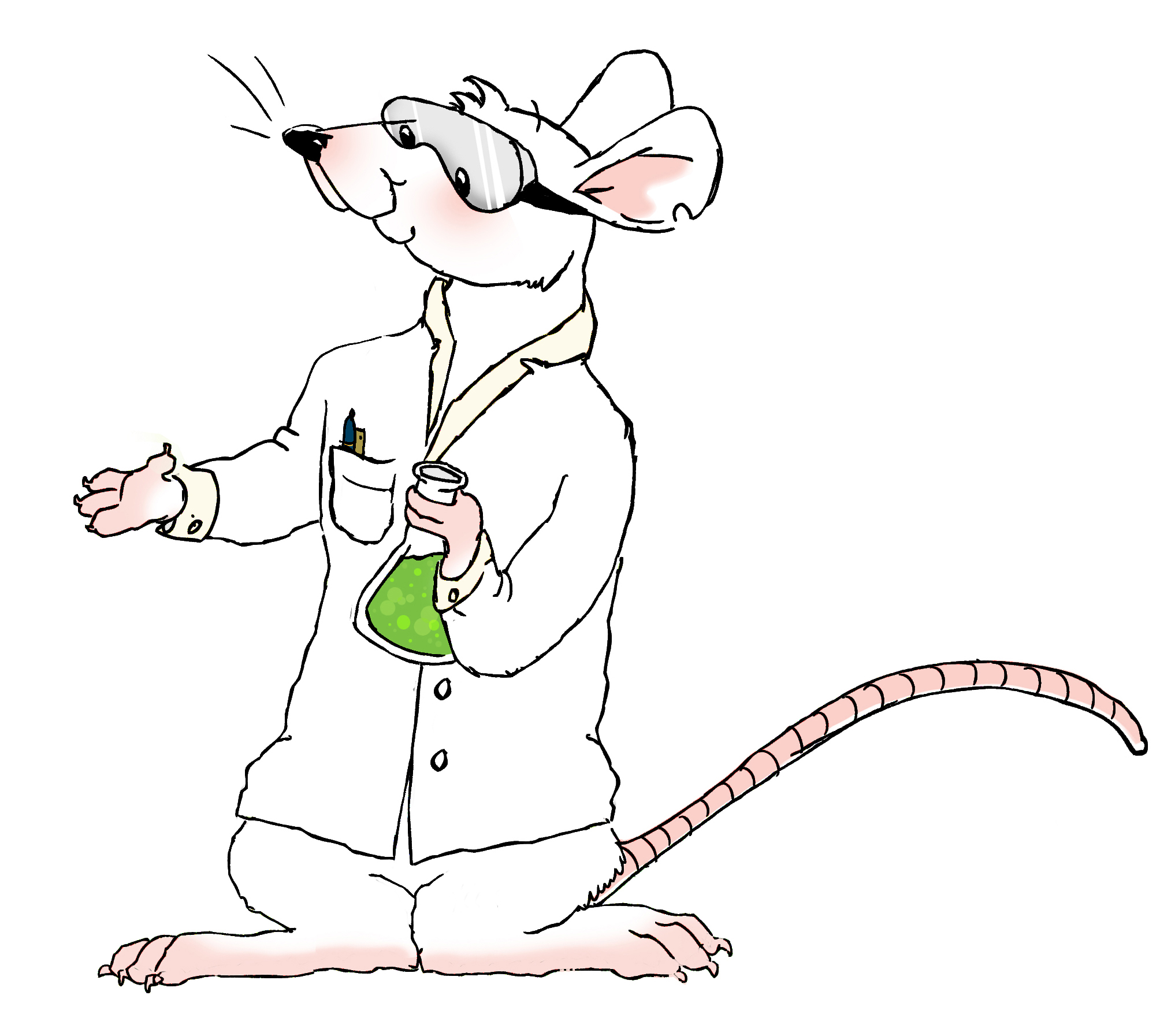 rat-cute