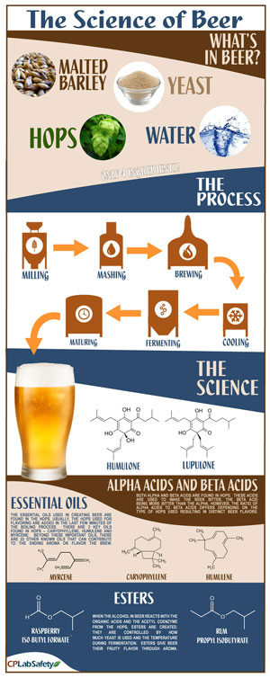 Science of Beer Infographic