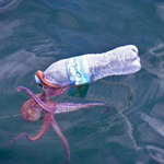 Ocean Conservancy