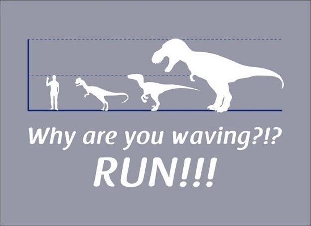 what-are-you-waving-at-run.jpg what-are-you-waving-at-run.jpg